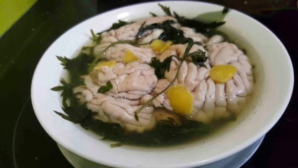 óc dê hầm